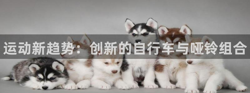 征途国际新能源：运动新趋势：创新的自行车与哑铃组合