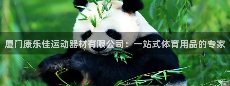 征途国际招商电话地址是多少