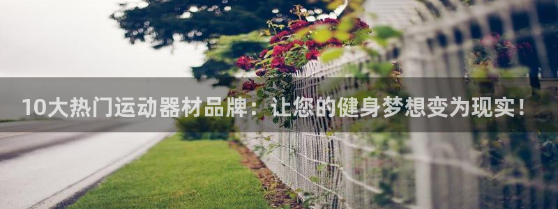 征途国际招商电话：10大热门运动器材品牌：让您的健身梦想变为
