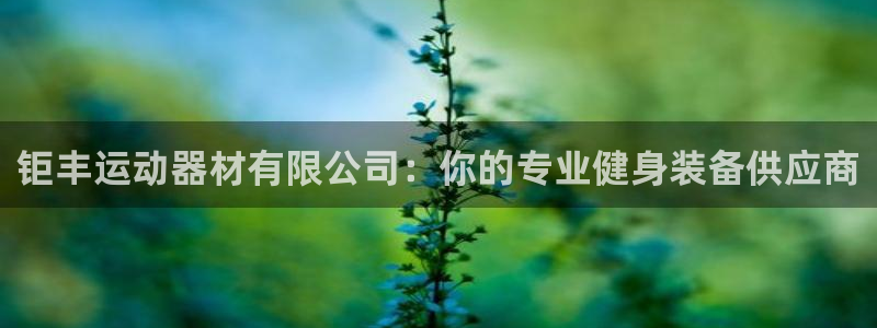 征途国际娱乐40996