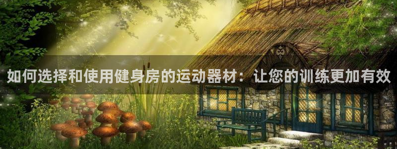 征途国际集团简介：如何选择和使用健身房的运动器材：让