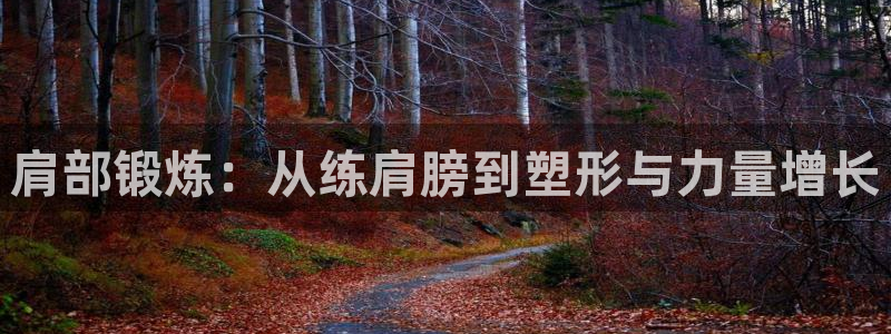 征途国际官方：肩部锻炼：从练肩膀到塑形与力量增长