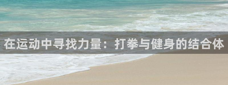 征途国际集团