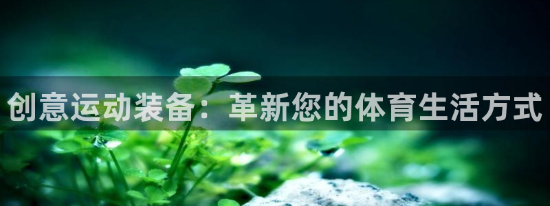 征途国际招商电话地址是多少