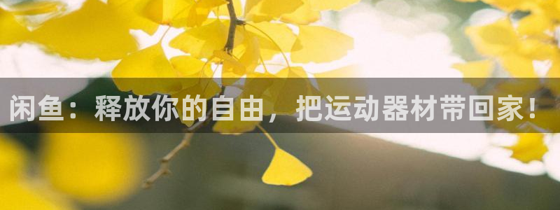 征途国际是干嘛的公司：闲鱼：释放你的自由，把运动器材