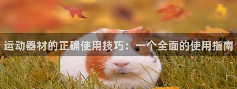 征途国际娱乐：运动器材的正确使用技巧：一个全面的使用