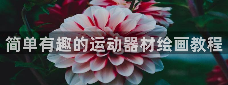 征途国际平台注册要钱吗是真的吗：简单有趣的运动器材绘画教程