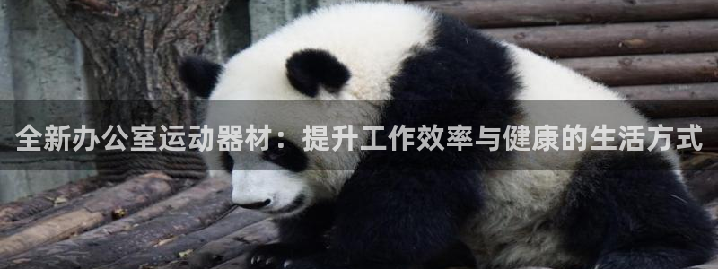 征途国际招商电话号码是多少啊