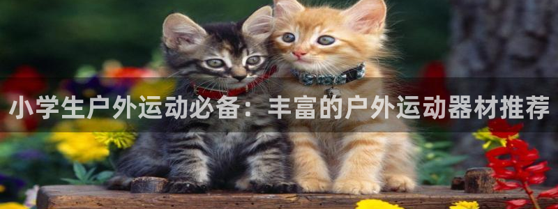 德国征途国际集团：小学生户外运动必备：丰富的户外运动器材推荐