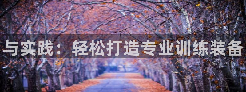 征途国际招商