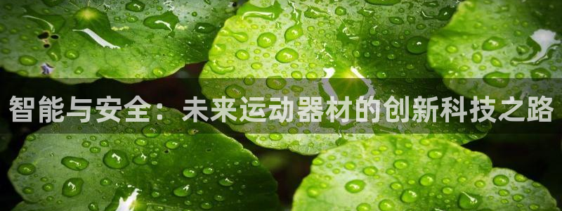 征途国际平台体育：智能与安全：未来运动器材的创新科技之路