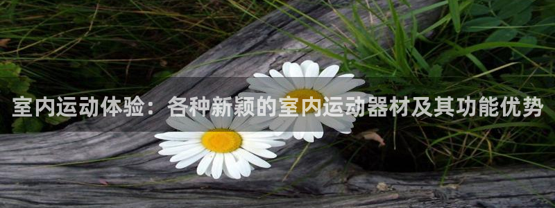 征途国际平台假的吗是真的吗吗：室内运动体验：各种新颖的室内运