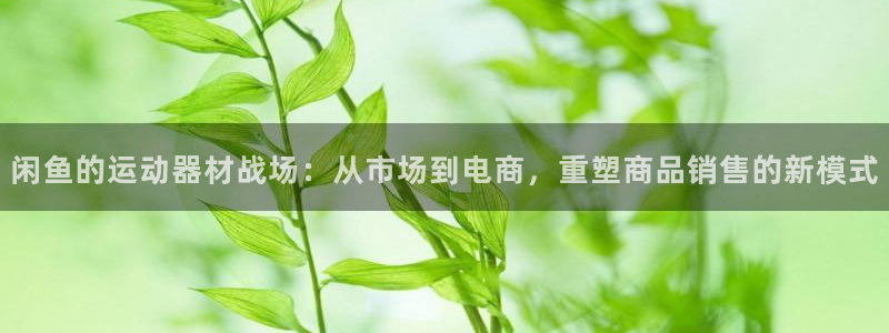 征途国际平台假的吗是真的吗吗：闲鱼的运动器材战场：从市场到电