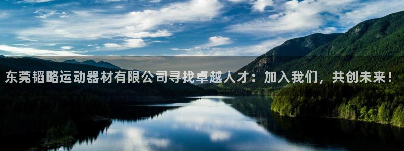 征途国际是干嘛的公司